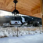 Jelen Niedzwiedz *