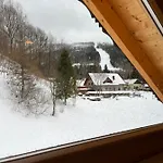 Jelen Niedzwiedz