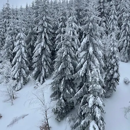 Jelen Niedzwiedz Appartement