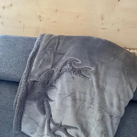 Jelen Niedzwiedz * Szczyrk