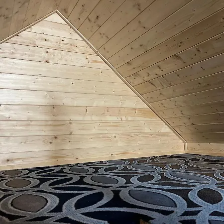 Jelen Niedzwiedz שצ'צ'ירק