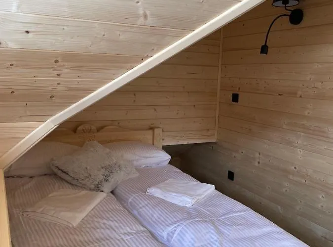 Jelen Niedzwiedz שצ'צ'ירק