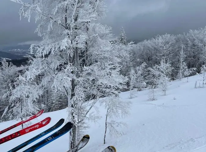 Jelen Niedzwiedz דירה *