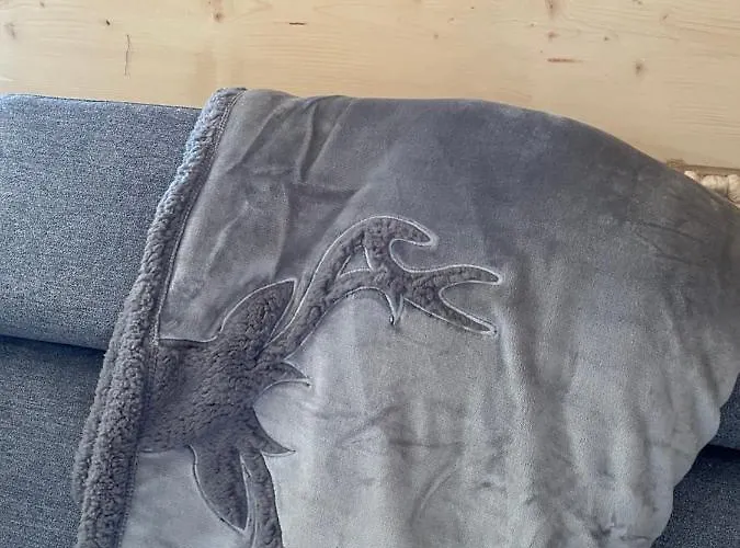 Jelen Niedzwiedz * שצ'צ'ירק