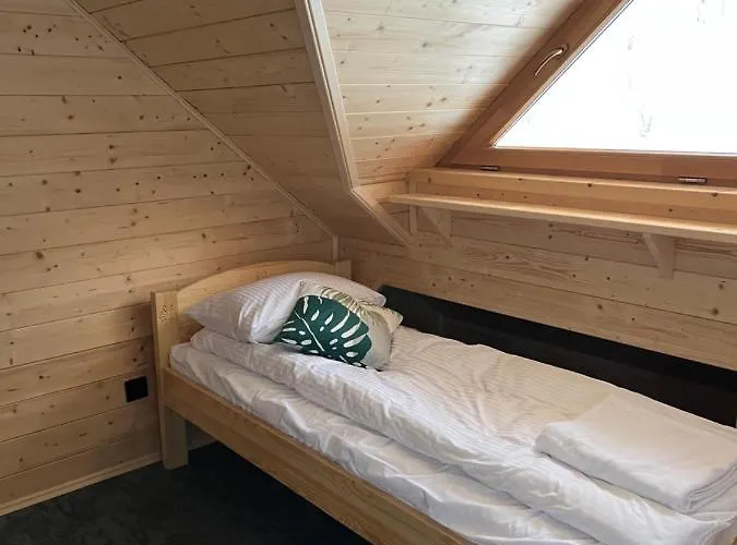 Jelen Niedzwiedz שצ'צ'ירק