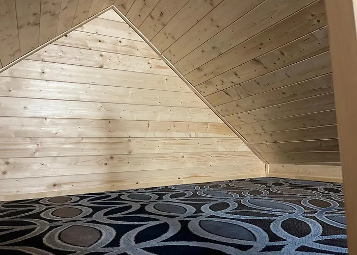 Jelen Niedzwiedz שצ'צ'ירק