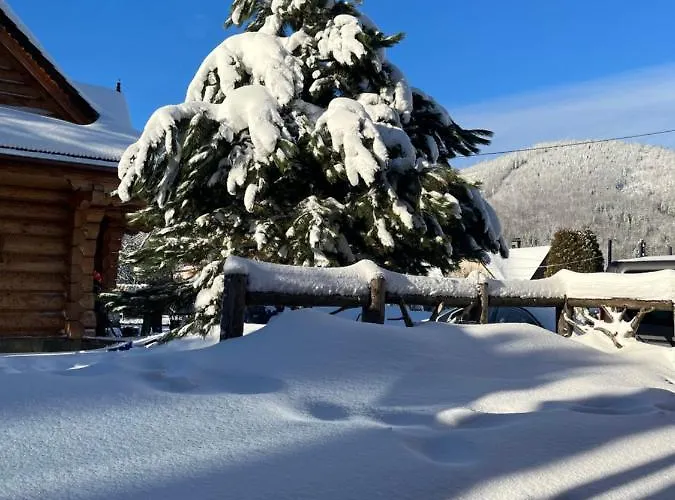 דירה Jelen Niedzwiedz שצ'צ'ירק