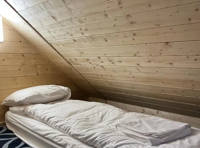 Jelen Niedzwiedz * שצ'צ'ירק